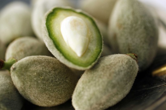 fresh-almonds-550x366.jpg