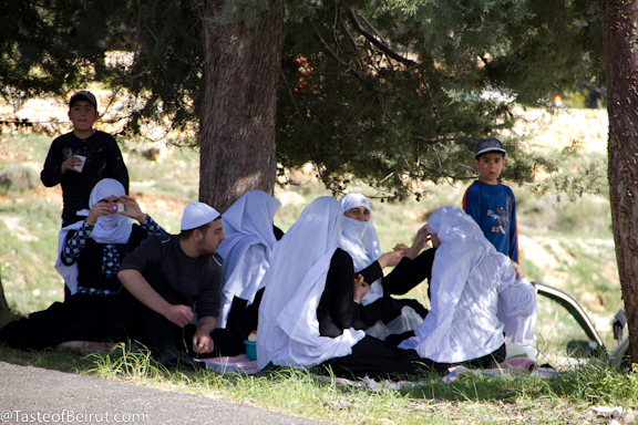 Druze having a picnic