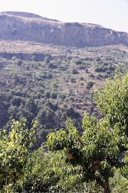 View in Fawara